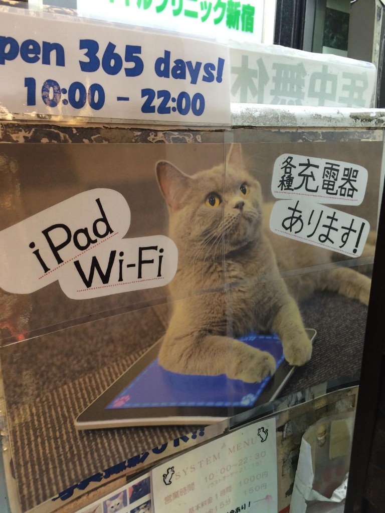 Poster in a Shinjuku cat café window showing a British Shorthair cat resting its paw on an iPad, advertising Wi-Fi and charger availability